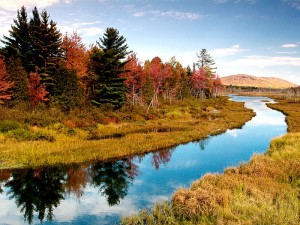 Waterways may become polluted with toxins from personal care products.