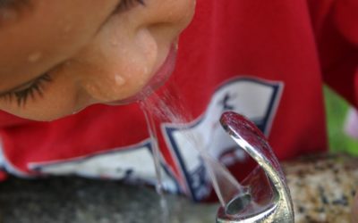 How to Solve Your School’s Lead in Water Problem