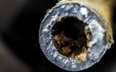 Lead in Water in Schools: What You Need to Know