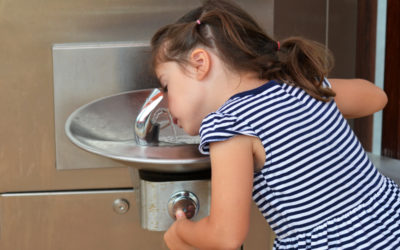 Lead in Water in Schools: 7 Frequently Asked Questions